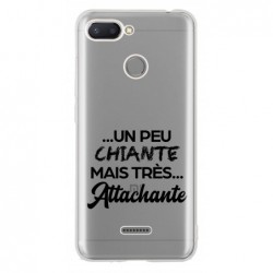 Coque un peu chiante mais...